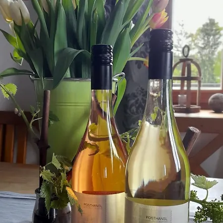 Pansiyon Posthansl *